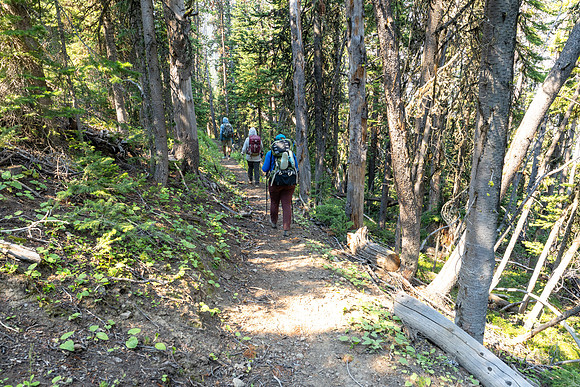 Hikers on the Thunder Cutoff Trail descending from Chaw Pass (2)