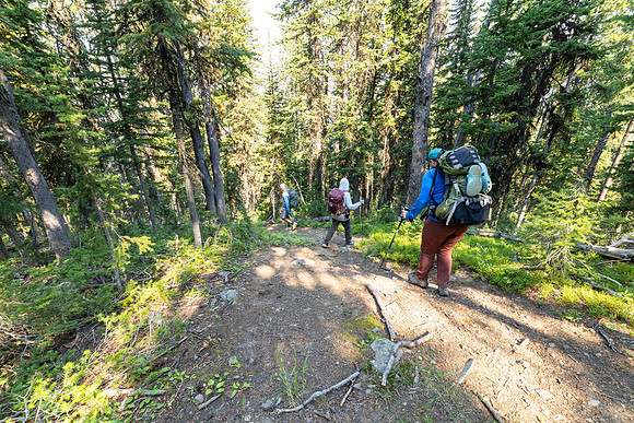 Hikers on the Thunder Cutoff Trail descending from Chaw Pass
