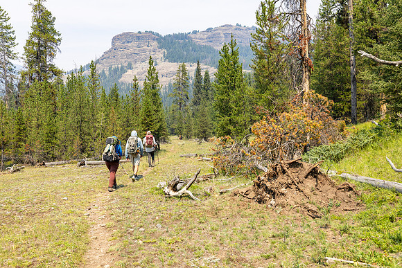 Hikers on the Thunder Cutoff Trail headed to Soda Butte Creek