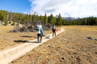 Bridger-Teton National Forest