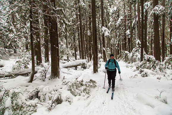 Corrie Skiing The John's Lake Loop (2)