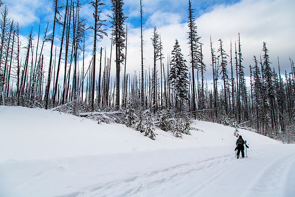 Skiing to Fish Creek