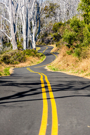 Mauna Loa Access Road Portrait