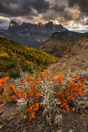 Lake McDonald Valley Fall Colors Portrait