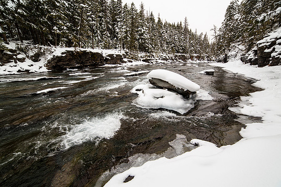 Along McDonald Creek