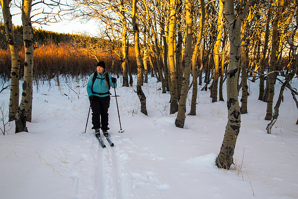 Skiers on Firebrand Pass Trail(2)