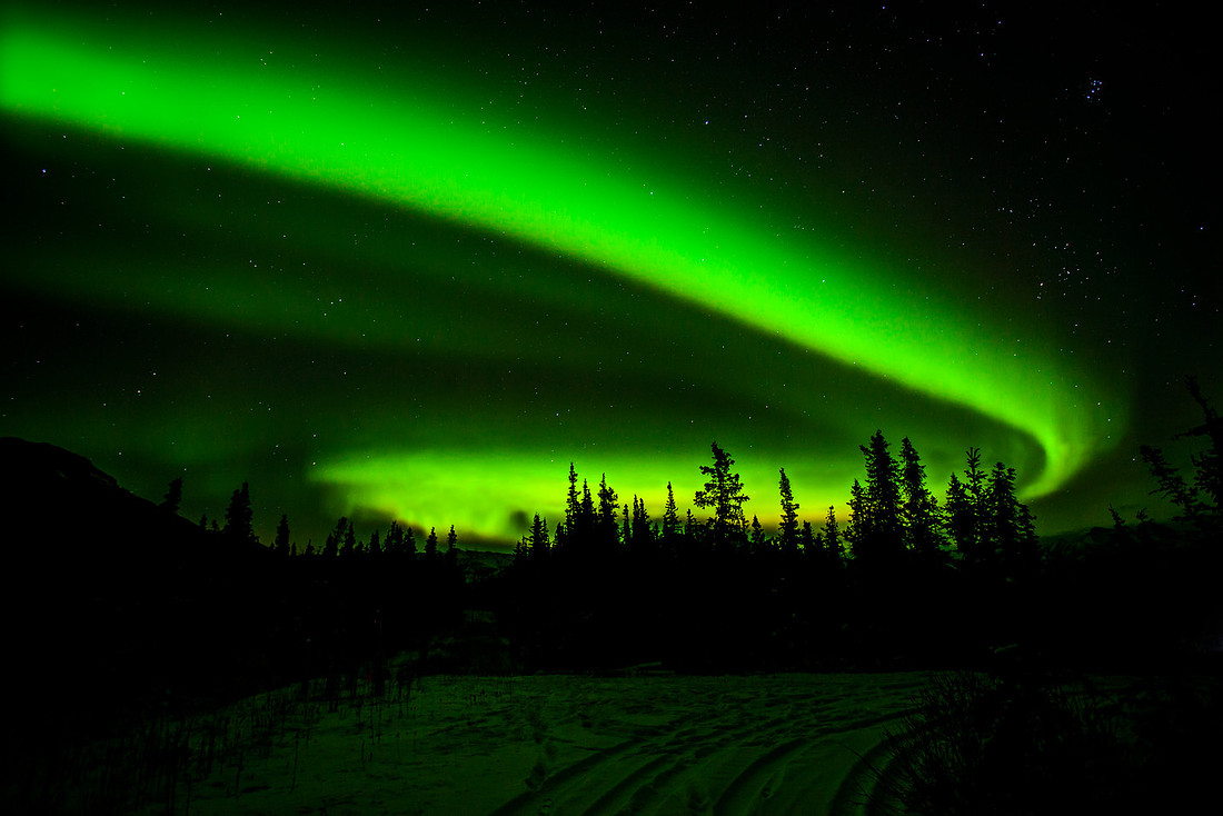 Aurora Whiplash