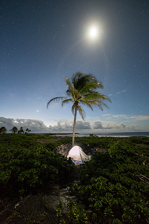 Apua Point Campspot Portrait
