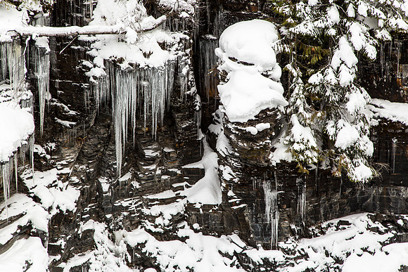 Icicles Along McDonald Creek (2)