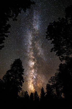 Milk Way over Camp