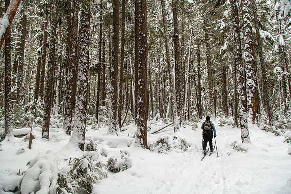 Corrie Skiing The John's Lake Loop (3)