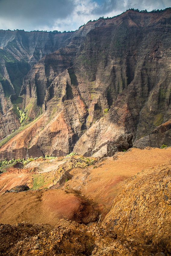 Waimea Canyon Rim Trail Portrait