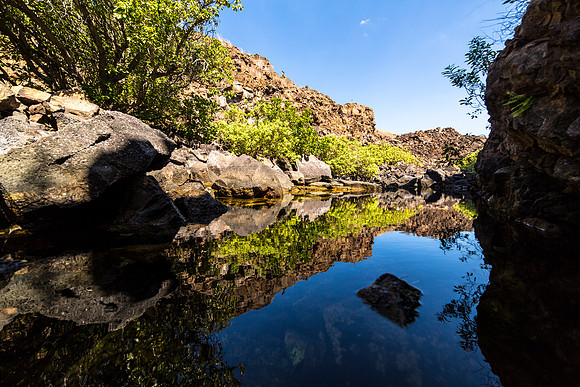 Brackish Ponds at Halape