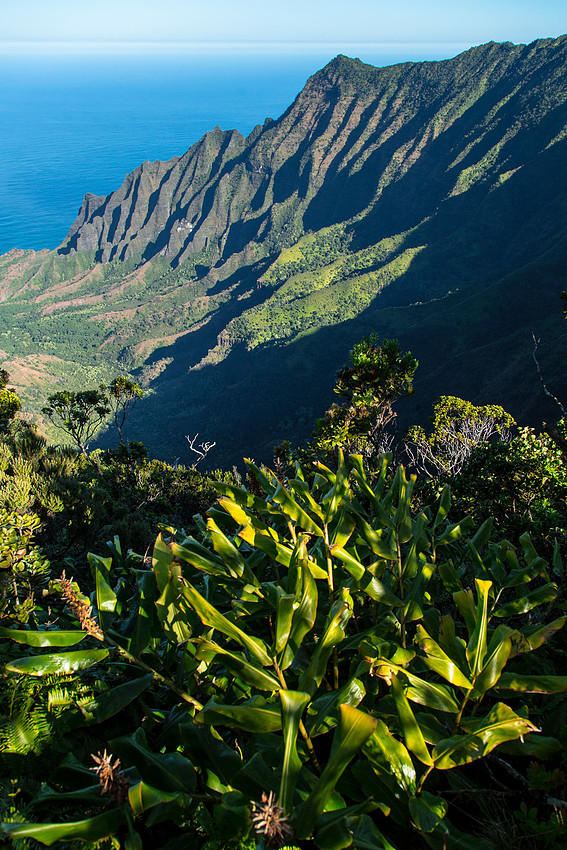 Views from the Pihea Trail