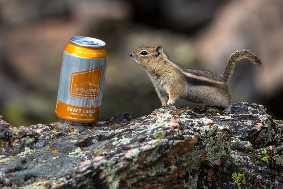 Chipmunk Craft Lager