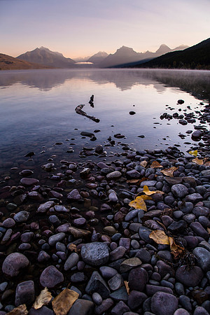 Lake McDonald Fall Shoreline Portrait