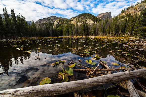 Nymph Lake Reflections