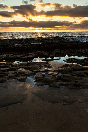 Morning Light Kapa'a Portrait