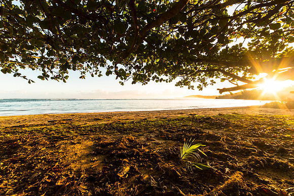 Sunrise at 'Anini Beach