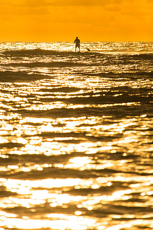 SUP at Sunrise Portrait
