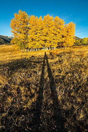 Fall Color at Moraine Park