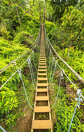Footbridge