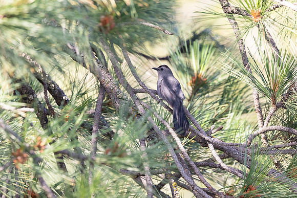 20230624-jwf-8946