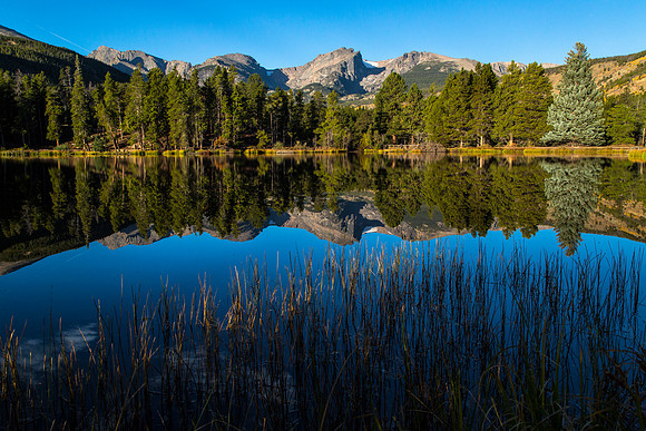 Sprague Lake Reflections (2)
