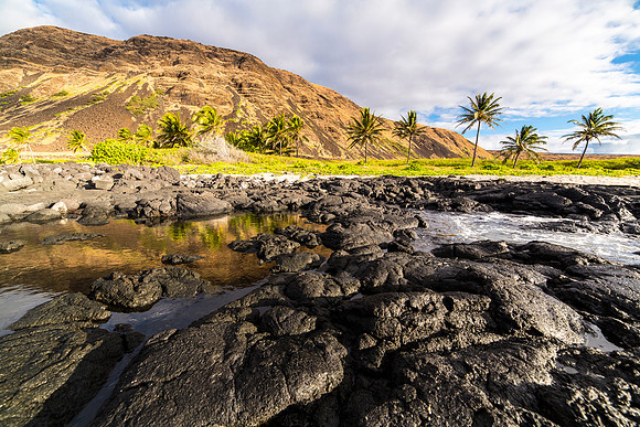 Halape Tidepools
