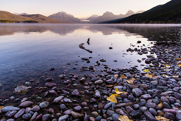 Lake McDonald Fall Shoreline