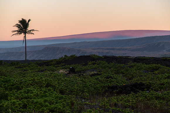 Sunrise on Mauna Loa From Apua Point