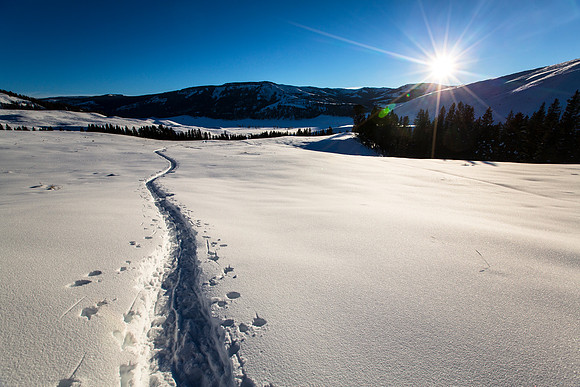 Afternoon Winter Hike in Lamar