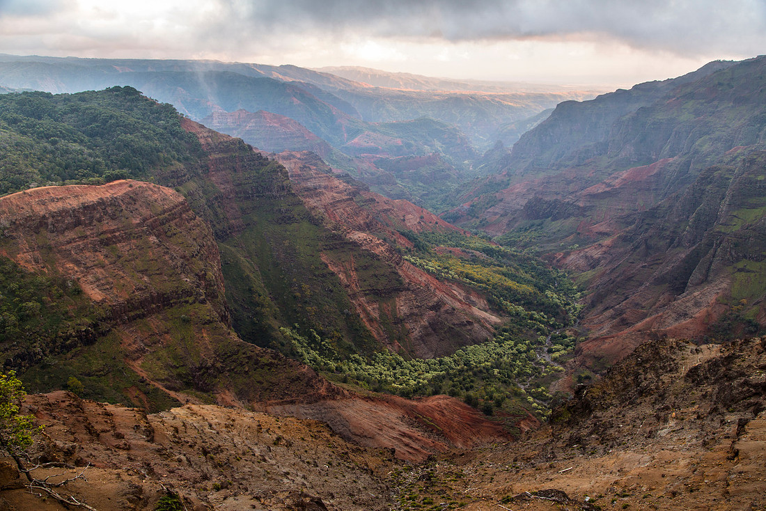 Waimea Canyon From Canyon Trailhead