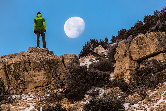 Moon Gazer