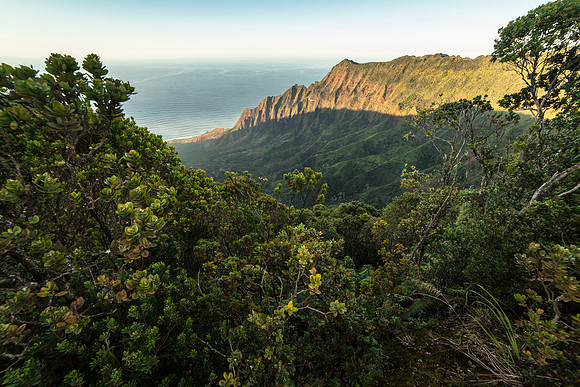 Kalalau Overlook