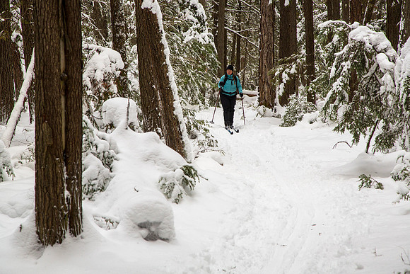 Corrie Skiing The John's Lake Loop