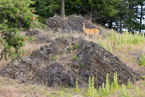 20230624-jwf-8905