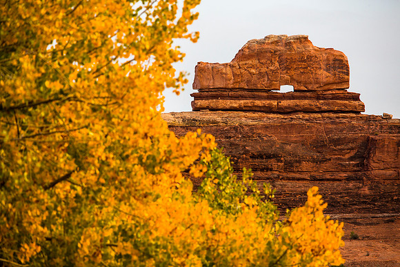 Fall at Wooden Shoe Arch