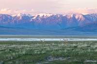 Red Rock Lakes National Wildlife Refuge