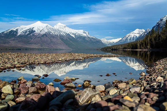 Lake McDonald Shoreline