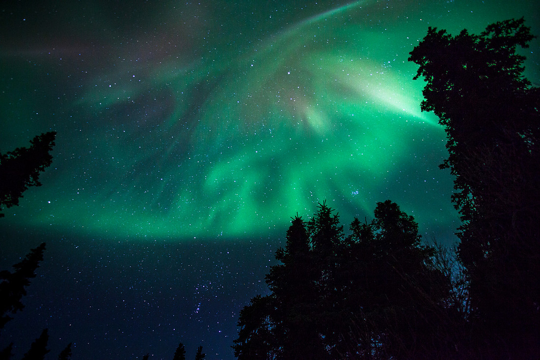 Aurora Starburst