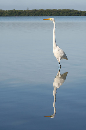 Ft. Desoto Reflections
