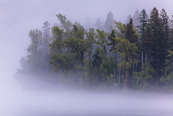 Foggy Lake McDonald