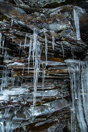 Closeup Icicles along the Creek
