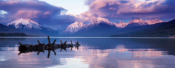 Driftwood Sunset Panorama