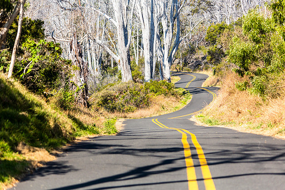 Mauna Loa Access Road