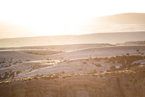 Gold on them thar Hills