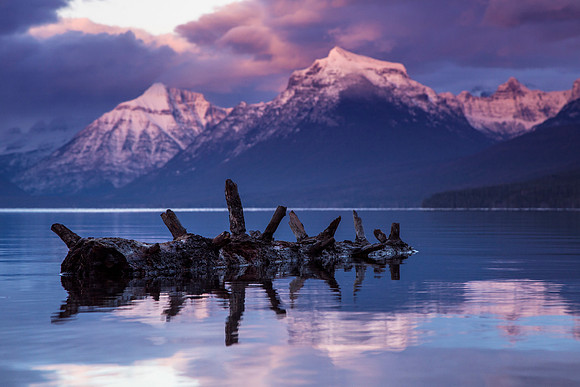 Driftwood Sunset