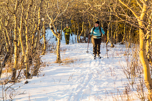Skiers on Firebrand Pass Trail