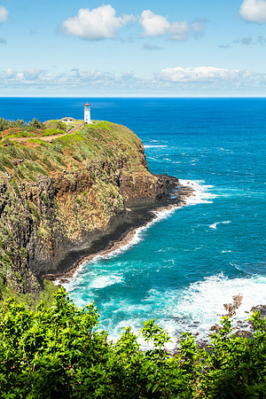 Kīlauea Point Portrait